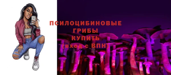 а пвп мука Богородицк