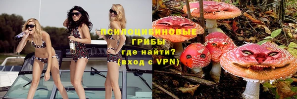 дмт Белокуриха